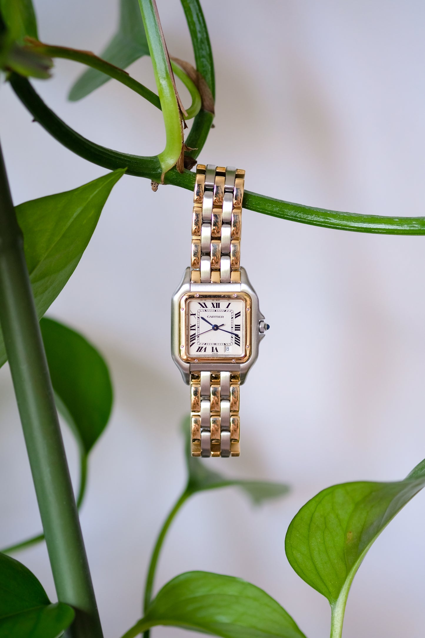 Cartier Panthère Gold & Steel - Medium